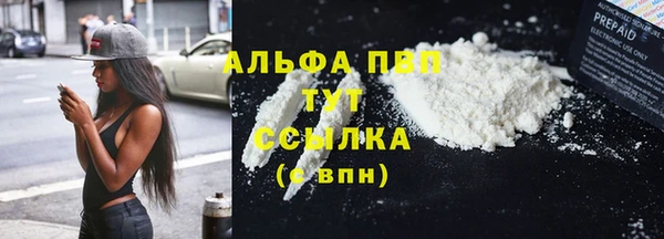 СК Алексин