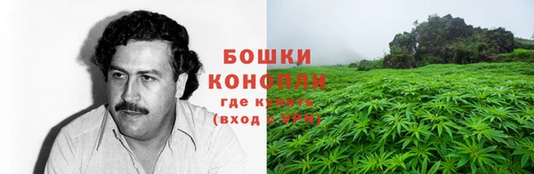 соль ск Абаза