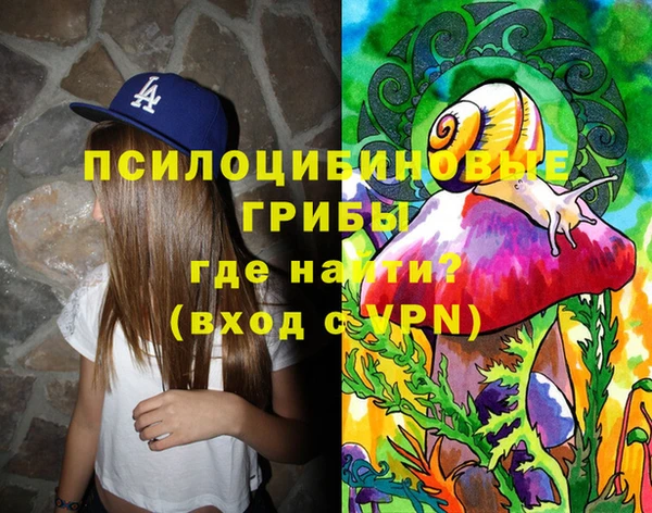 СК Алексин