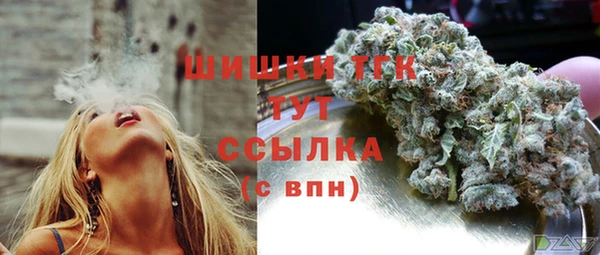 соль ск Абаза
