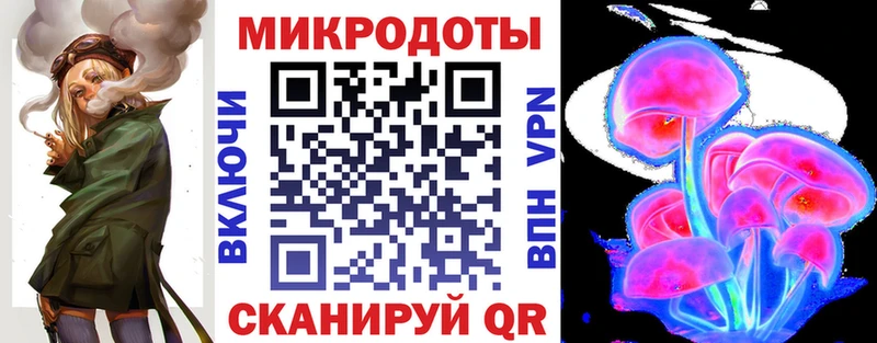 закладка  Искитим  Галлюциногенные грибы прущие грибы 